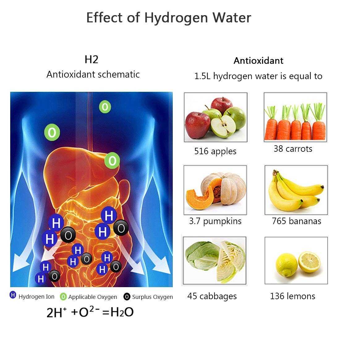 VASTARA™   - HYDROGEN WATER BOTTLE